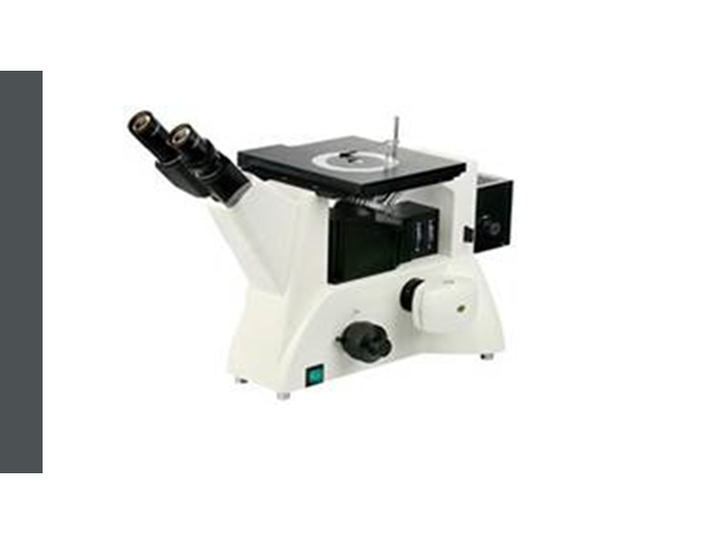 Microscopio 410